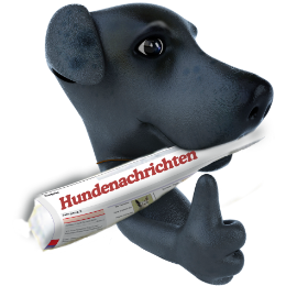 www.hundenachrichten.de